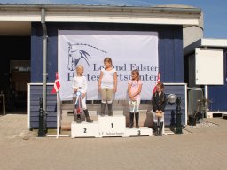 2013 Efterårsturnering